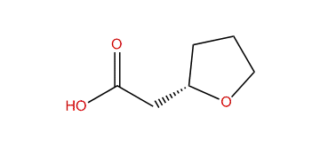 (S)-2-(Tetrahydrofuran-2-yl)-acetic acid